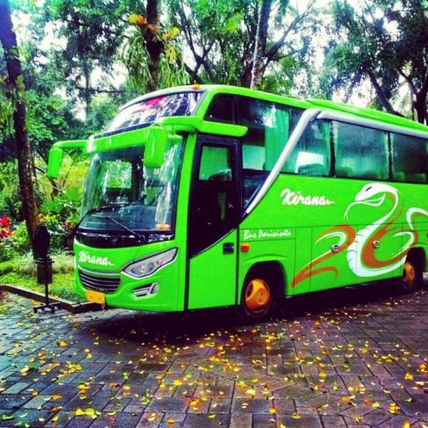 Sewa Bus Pariwisata Kirana Transport Jogja Murah Medium Bus Bookwisata Indonesia Warna Hijau 33